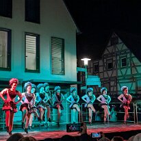 PXL_20260105_181149298.MP