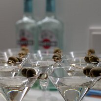 WhatsApp Image 2026-02-14 at 21.03.00