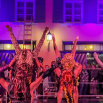 WhatsApp Image 2026-02-13 at 13.52.36